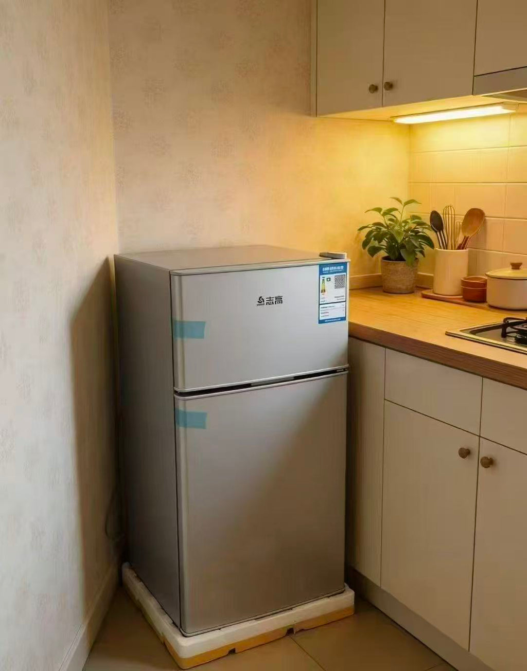 Compact Double Door Mini Refrigerator | Factory Direct Wholesale 🧊